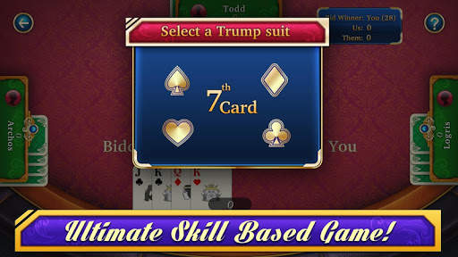 29 Card Game screenshot 4