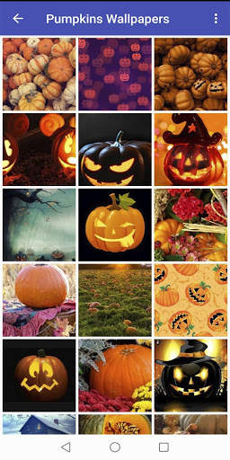 Pumpkin Wallpapers screenshot 1