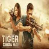 Tiger Zinda Hai