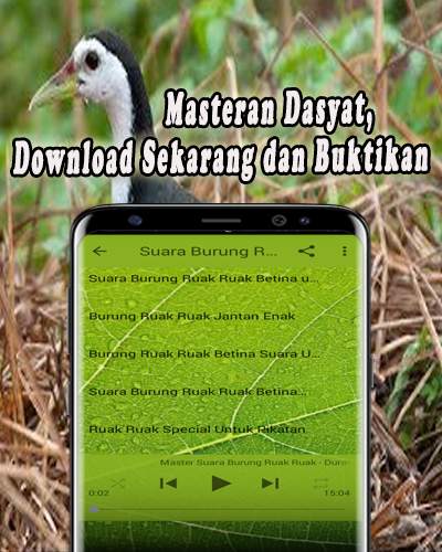 Suara Pikat Ruak Ruak MP3 screenshot 4