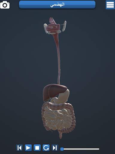 Anatomy 3D screenshot 4