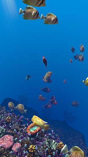 OCEAN AQUARIUM Live Wallpaper FREE screenshot 24