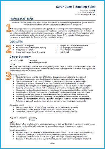 CV Formats 2021 screenshot 4