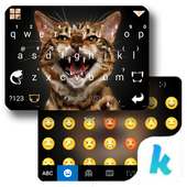 Polygon Cat Keyboard Theme