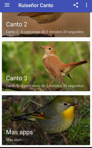 Nightingale Song screenshot 5