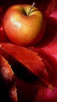 Apple Wallpapers HD screenshot 11