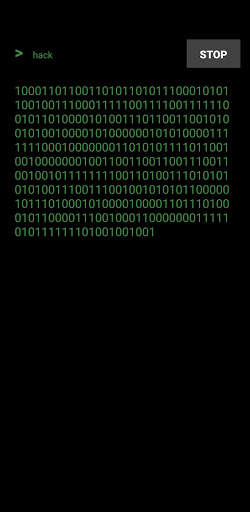 Hack Tool simulation screenshot 1