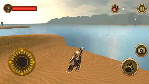 Sea Eagle Survival Simulator screenshot 5