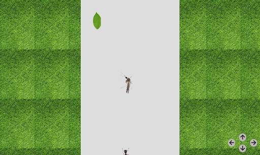 Ants race screenshot 1