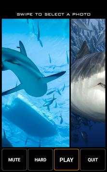 Hungry Shark Jigsaw Puzzle Game screenshot 5