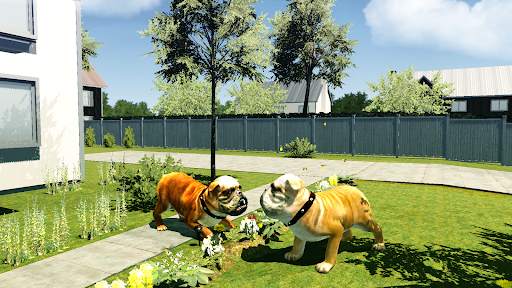Bull Dog Simulator screenshot 4