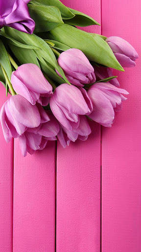 Pink Tulips Live Wallpaper screenshot 2