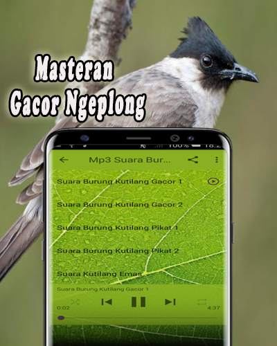 Suara Burung Kutilang Offline 3 تصوير الشاشة
