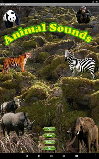 Wild Animals Sounds screenshot 5