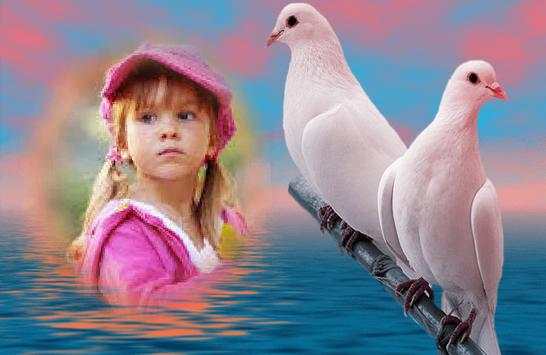 Dove Photo Frames 1 تصوير الشاشة