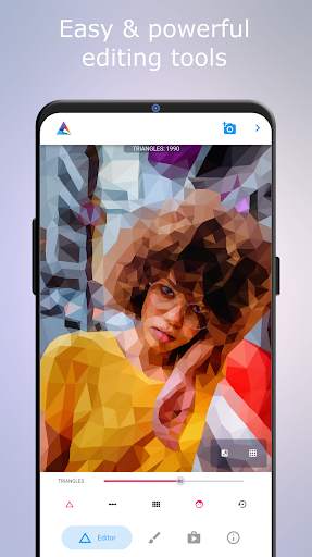Low Poly - Editor & Photo FX screenshot 2
