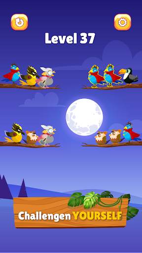 Bird Sort Master: Color Puzzle screenshot 4
