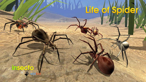 Life of Spider 2 تصوير الشاشة