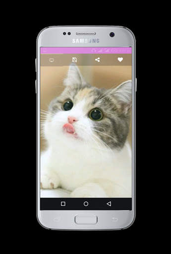 Cute Cats Wallpaper screenshot 1