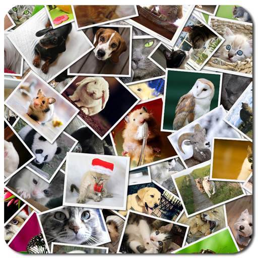 Collage Maker 1.0.7
