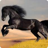 Horses live wallpaper 1.9