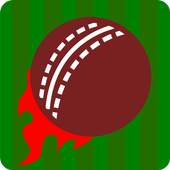 Smash and Slog Cricket 1.0.2