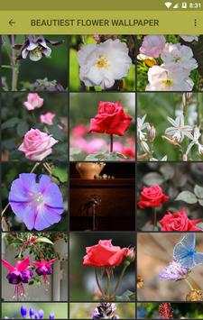 Beautifull Flower Wallpaper screenshot 3