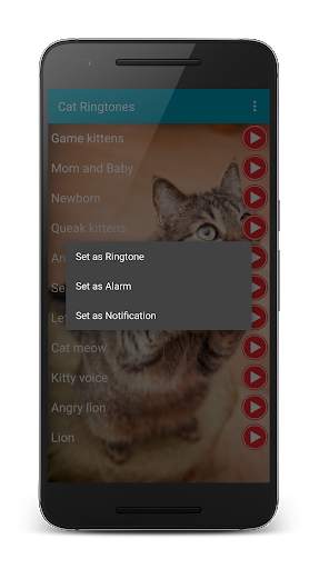 Cat Sounds Ringtones Purr screenshot 8