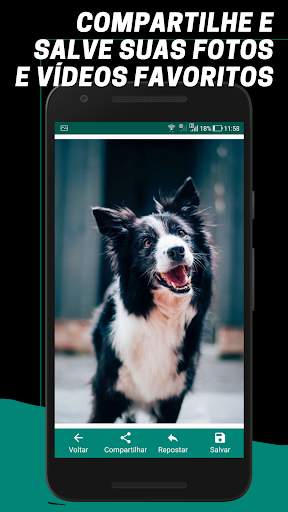 Status Download-Click para conversar-Baixar Status screenshot 6