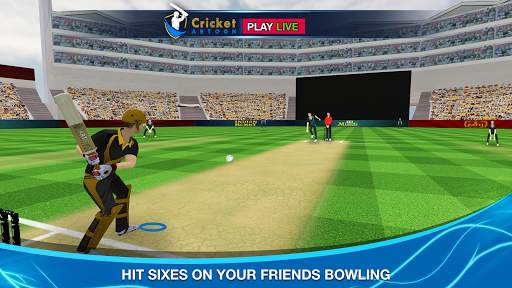 Cricket Multiplayer screenshot 1