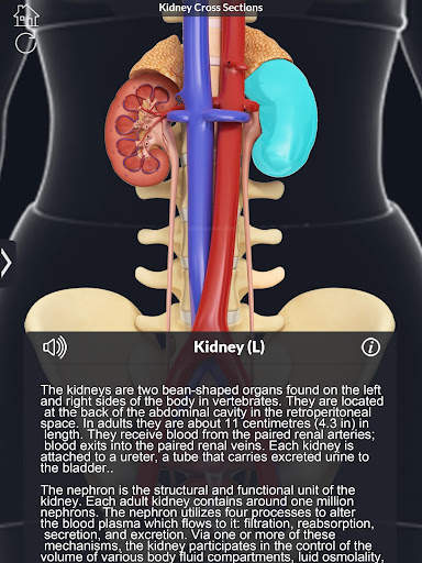My Urinary System screenshot 6