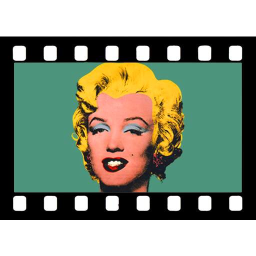 Videocam illusion 1.5.3