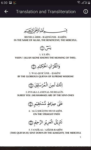 Yaseen MP3 Offline screenshot 3