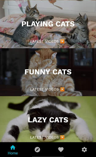 Funny Cat Videos: Funny Reactions and Cute Sounds screenshot 3