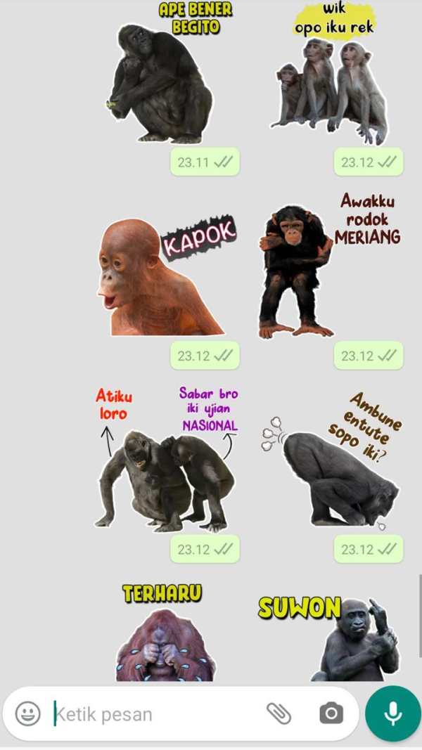 Stiker WA Monyet Jawa Lucu screenshot 7