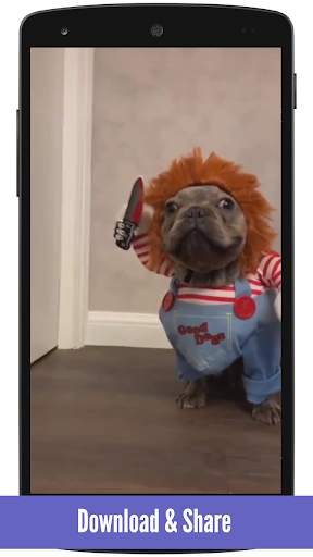 Funny Videos screenshot 2
