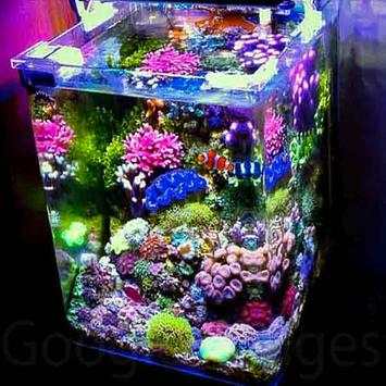 Aquarium Decoration Idea 5 تصوير الشاشة