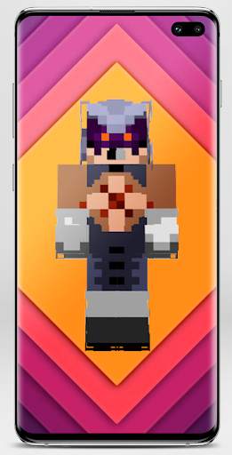 Skin Sonic  for Minecraft screenshot 3