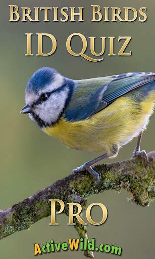 British Birds ID Quiz Pro screenshot 1