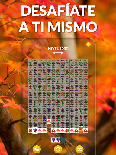 Zen Match screenshot 8