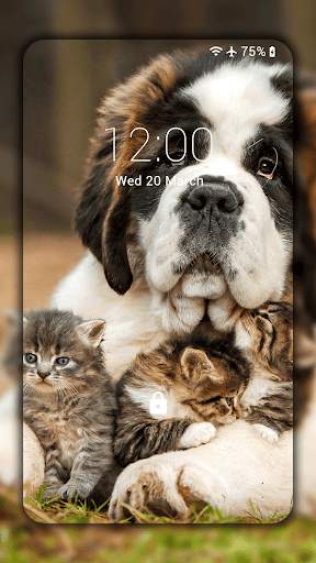 Cats and Dogs Live Wallpaper (Backgrounds) screenshot 3