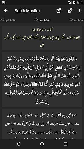 Sahih Muslim Shareef - Arabic - Urdu - English screenshot 8