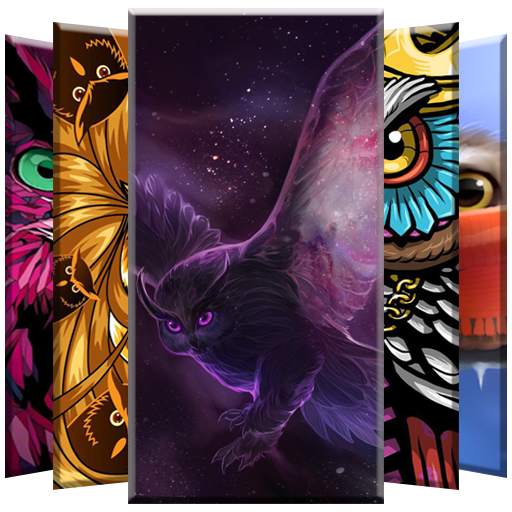 Owl Wallpapers 1.3