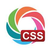 Learn CSS