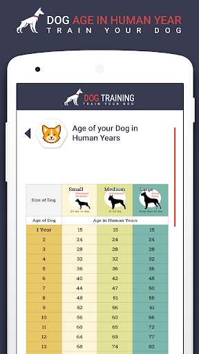 Home Dog Training: Family Pet Dog 4 تصوير الشاشة