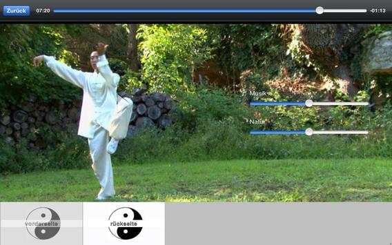 Tai-Chi Lite screenshot 2
