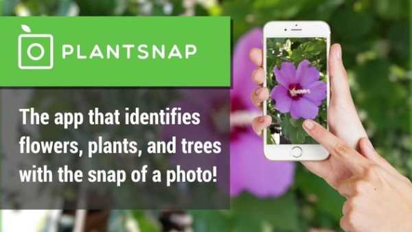 PlantSnap - Plants & Flowers Identification Guide screenshot 1