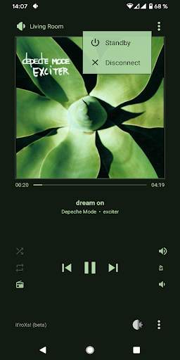 it'roXs! - eXtends your Roon music player screenshot 3