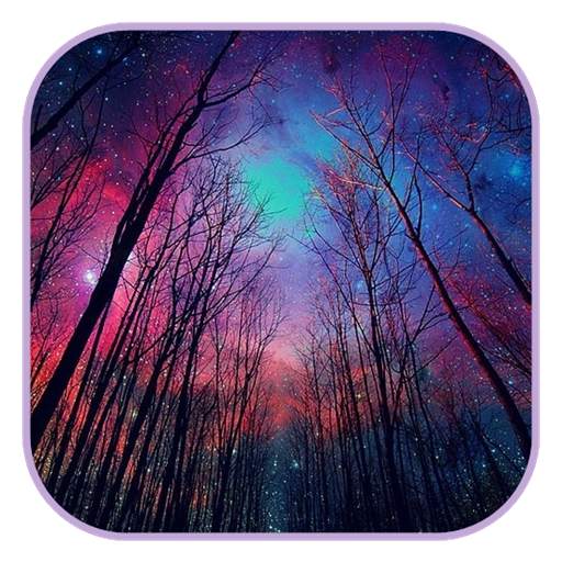 Photography Wallpaper 1.0