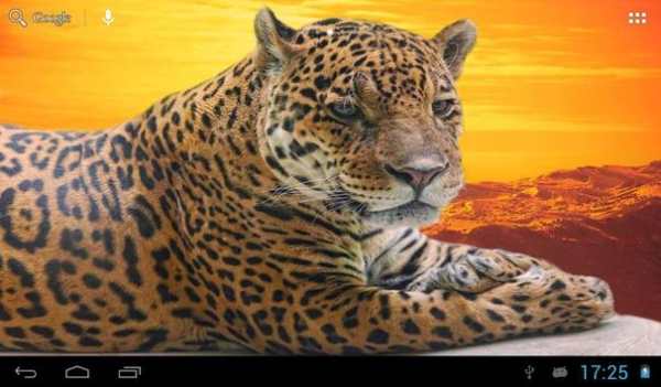 Jaguars Wallpapers screenshot 5